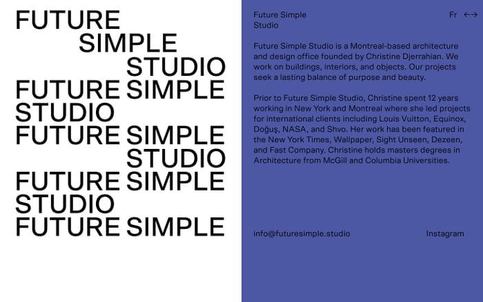 Future simple website preview