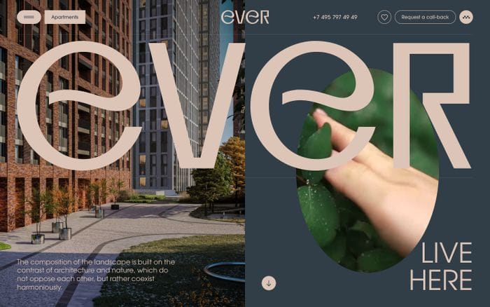Ever website preview