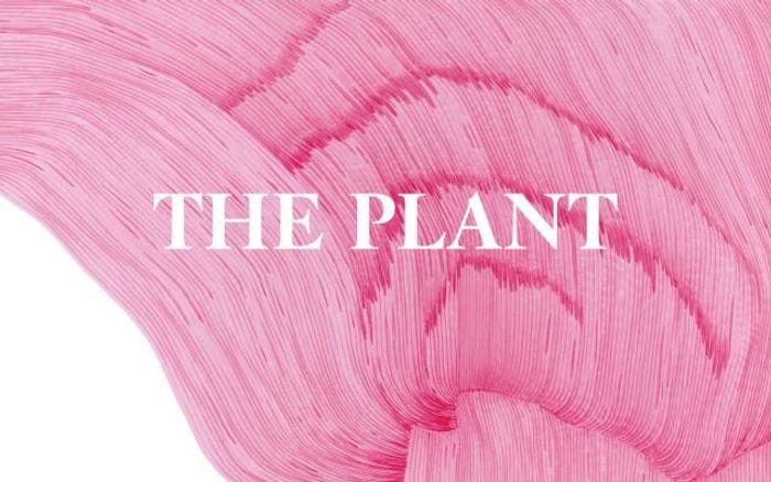 Theplantmagazine website preview