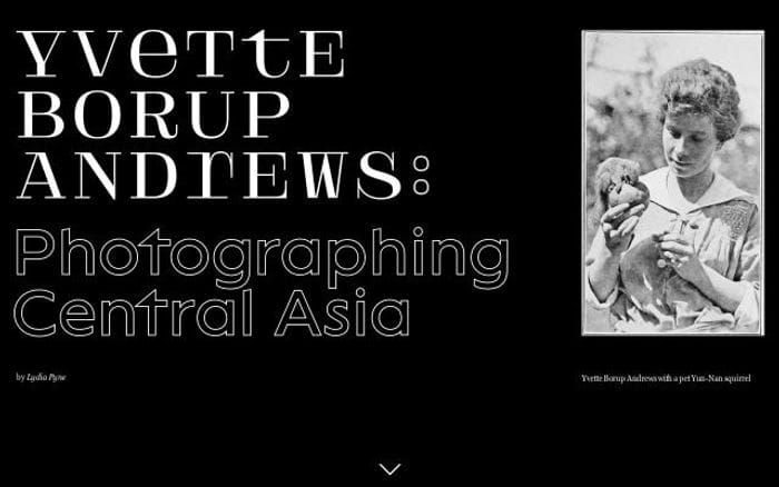 Yvette website preview