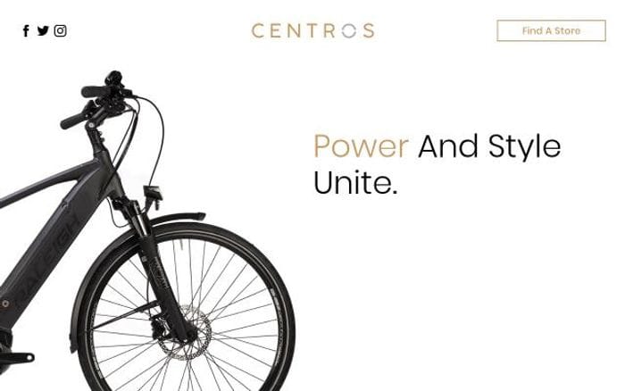 Raleigh website preview