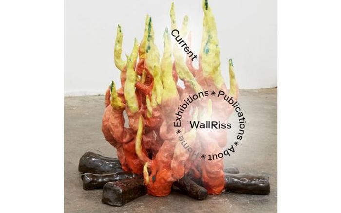 Wallriss website preview