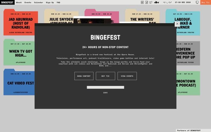 BINGEFEST website preview