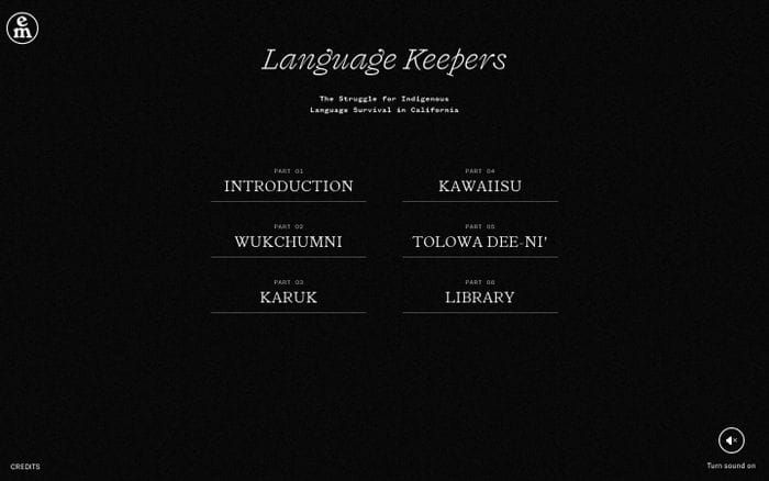Language Keepers website preview