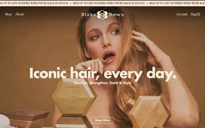 Blake Brown website preview