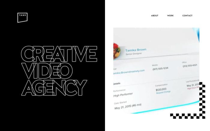  Tane - Creative Video Agency website preview