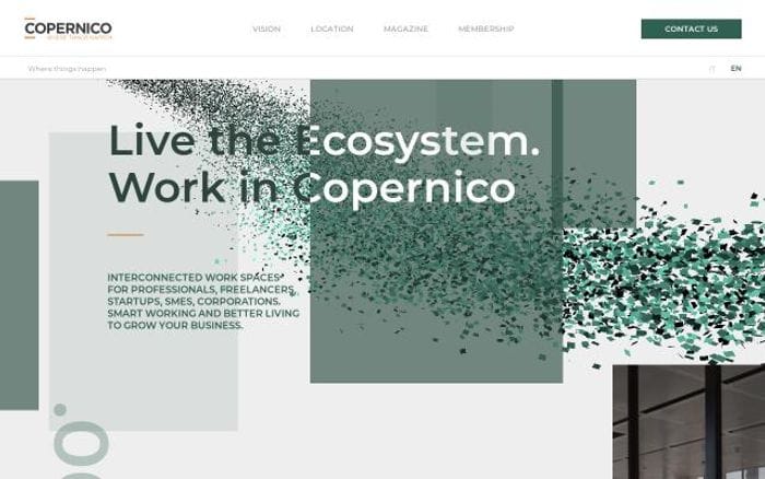 Coperni website preview