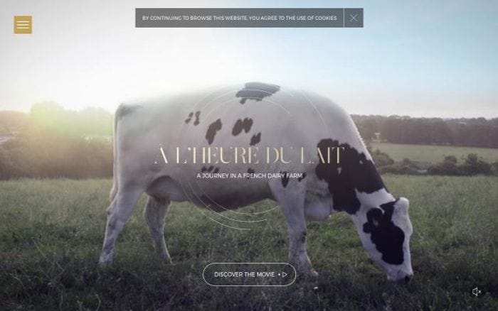 Ferme-laitiere-france website preview