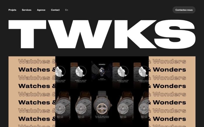 TWKS website preview