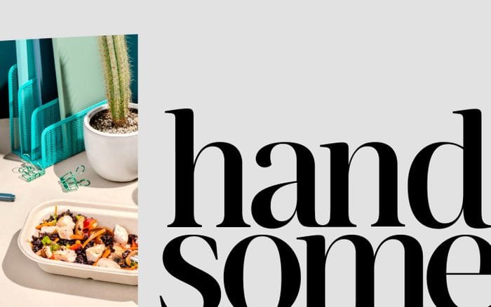 Handsome website preview