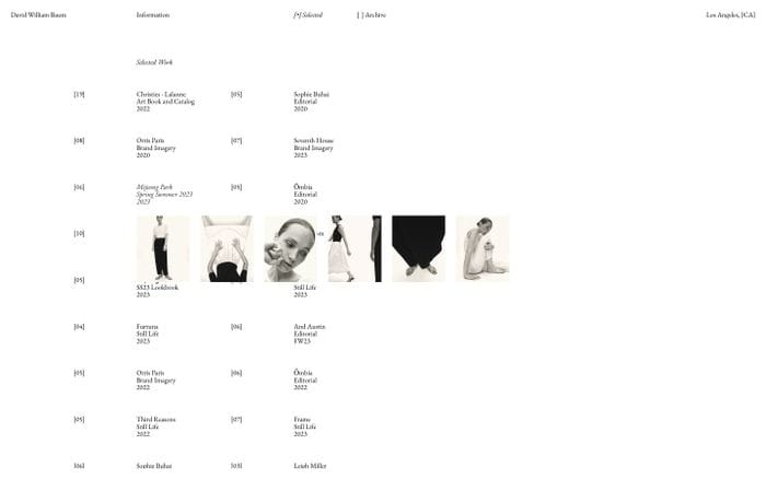 David William Baum website preview