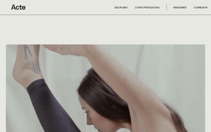 Acte training website preview