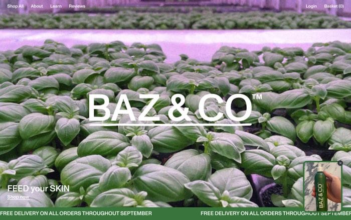 Baz & Co Skincare website preview