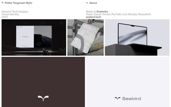 Petter Torgersen Myhr website preview
