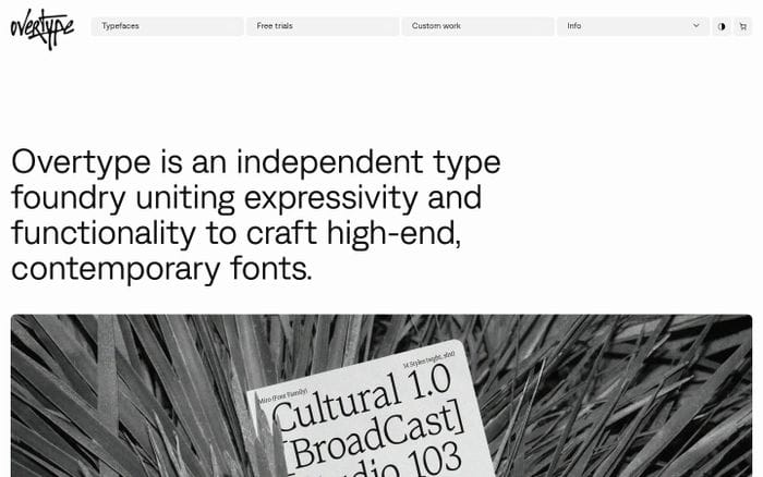 Overtype website preview