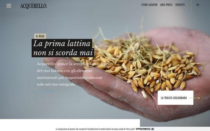 Acquerello website preview