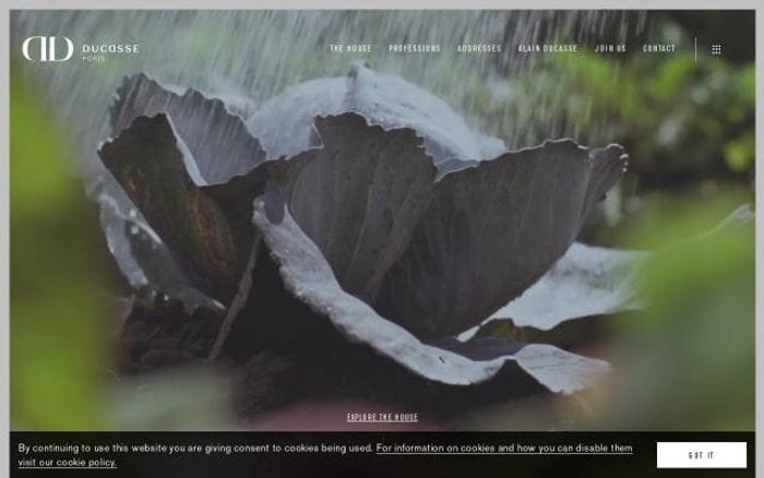 Ducasse-paris website preview