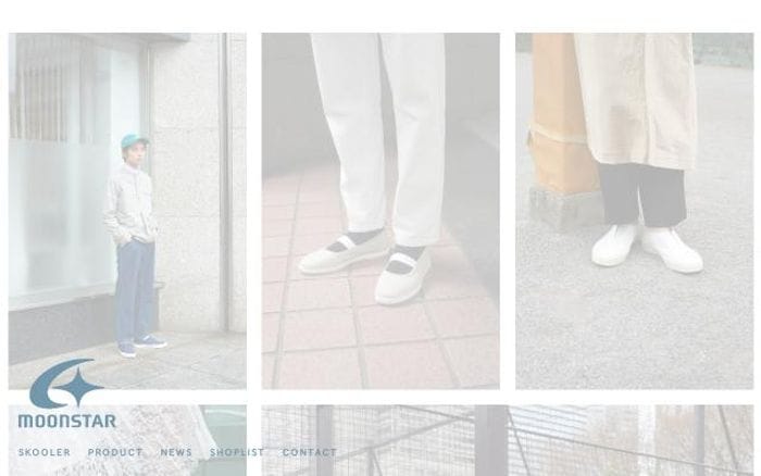 Skooler website preview