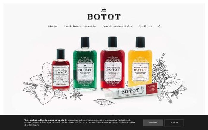 Botot website preview