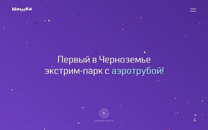 Shishkipark website preview