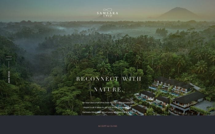 Home website preview