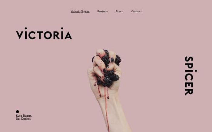 Vspicer website preview