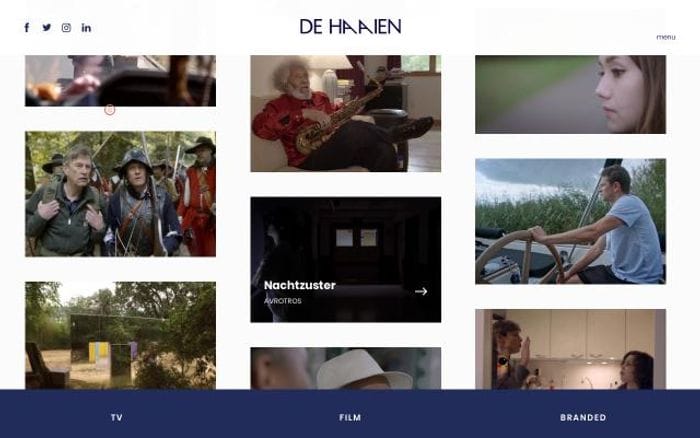 Dehaaien website preview