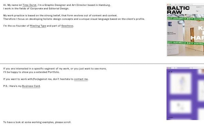 Timodurst website preview