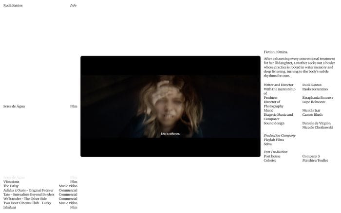 Ruda Santos website preview