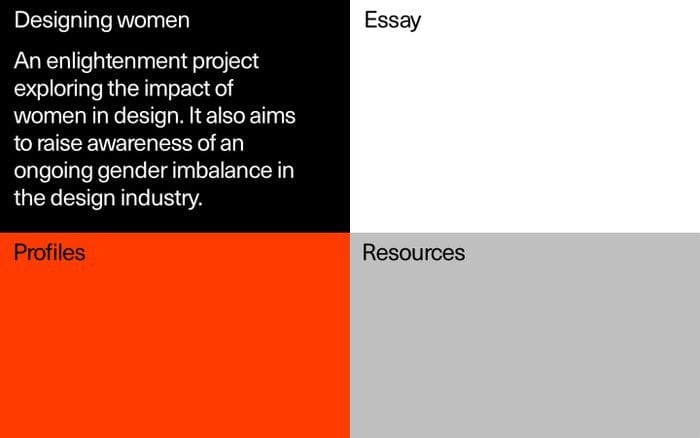 Designing women website preview