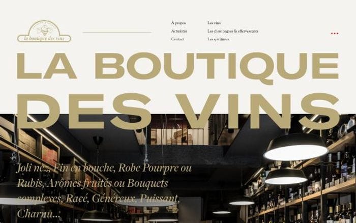 Boutiquedesvins website preview
