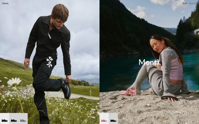 Monta website preview
