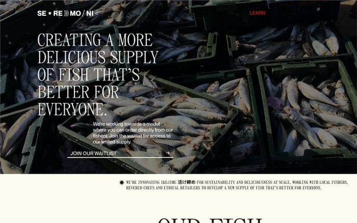 Seremoni Fish website preview