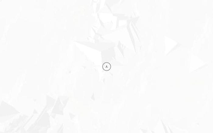 Robinpayot website preview