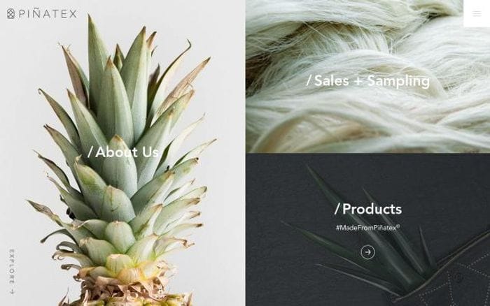 Ananas-anam website preview