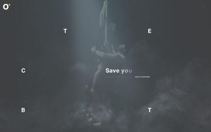 Octoplus website preview