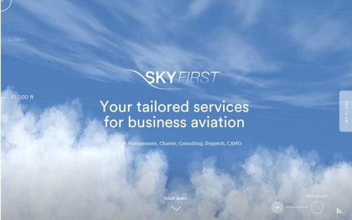 Skyfirst website preview