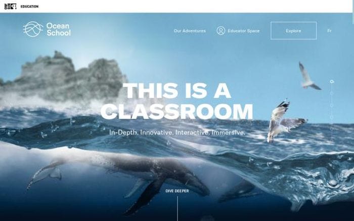 Oceanschool website preview