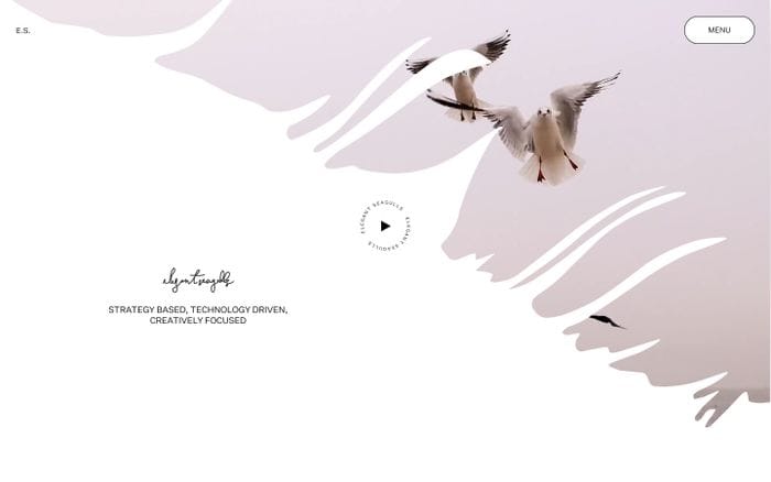 Elegant Seagulls website preview