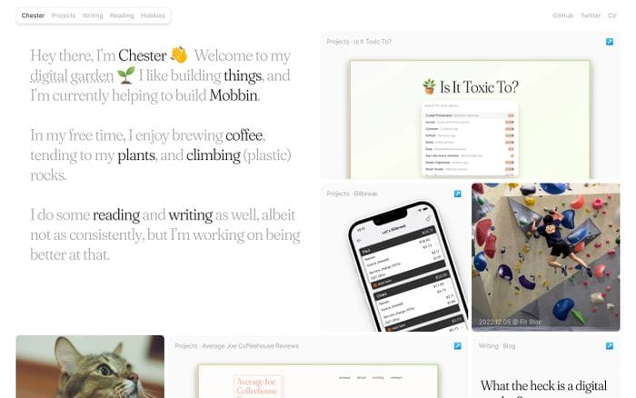 Chester How website preview