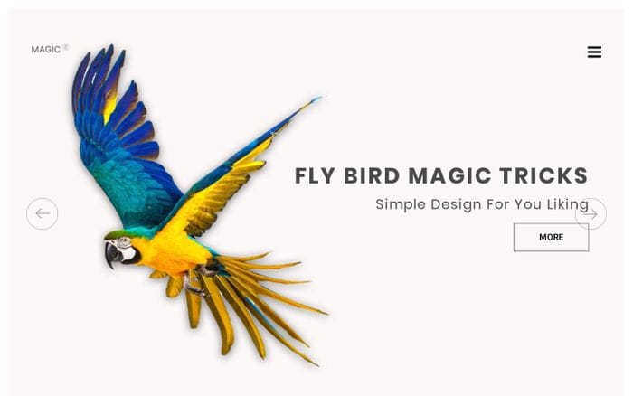 flybird website preview