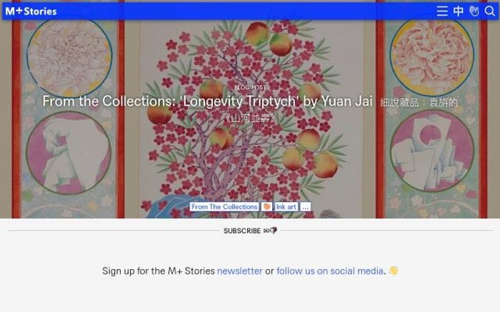 Stories website preview