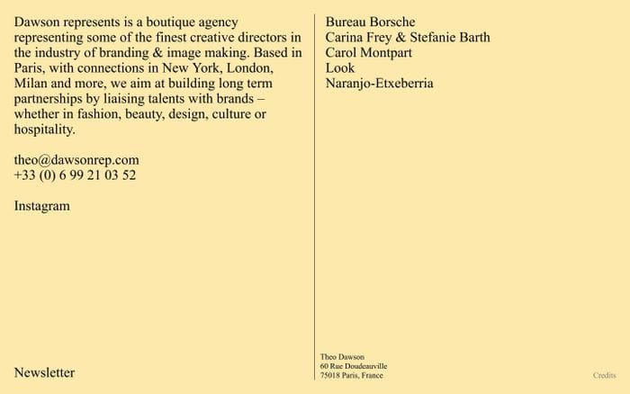 Dawson represents website preview