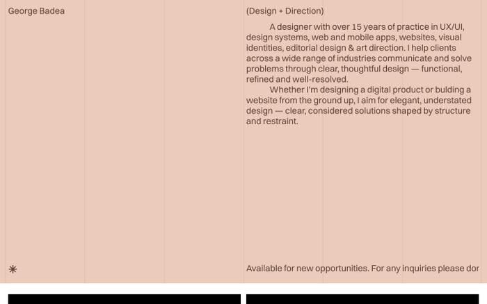 George Badea website preview
