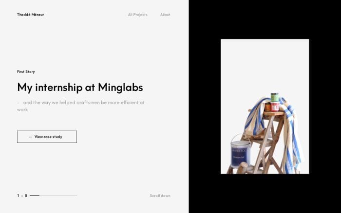 Thaddé Méneur website preview