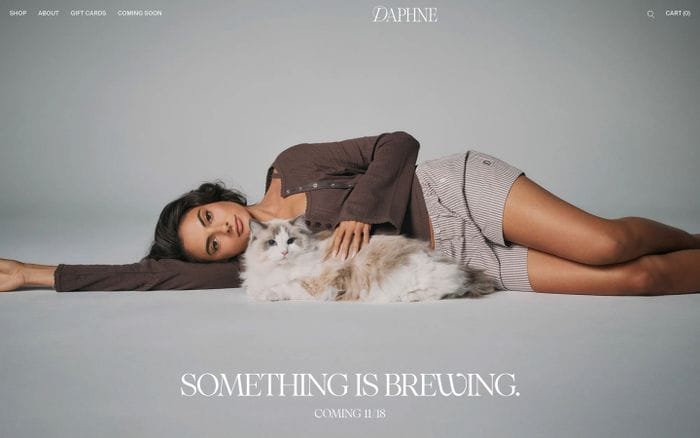Daphne website preview
