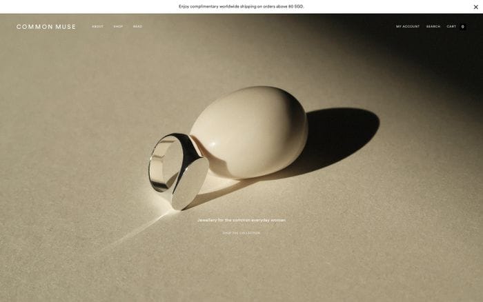 Common Muse website preview