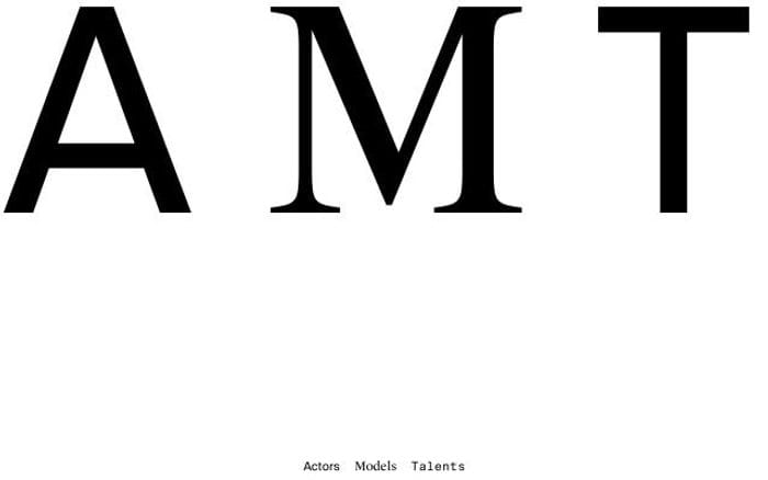 Amtvienna website preview