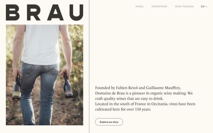 Domaine de Brau website preview