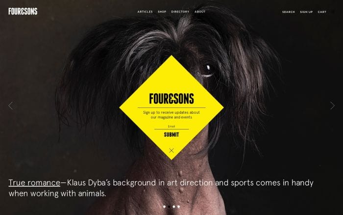 Four&Sons website preview
